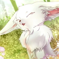 ริน|จิ้งจอกแห่งแสง