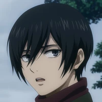 Mikasa Ackerman (kakak Eren)