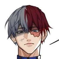 °Todoroki(A)°