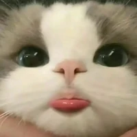 เเอดเองค่าาา