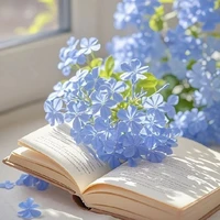 เจ้าสัว