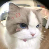 หวาน(เเมว)🐟