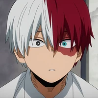 shoto todoroki (omega dominante)
