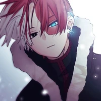 Todoroki Shoto