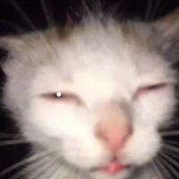 เมากาว🌚🌝