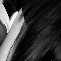 ซันนี่ พ.พ.อ