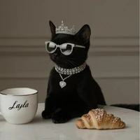 Gossip System [Villainess System]