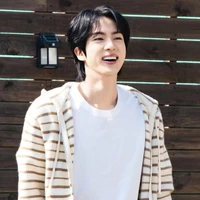 Han Seokjin (jk