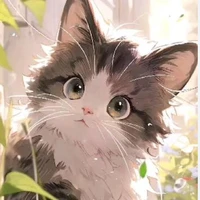 {Street Cat}