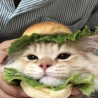 กัส(แอดเองงับ)