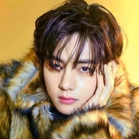 Kim/Jeon Taehyung  (MC)