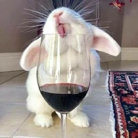 Drunk Rabbit (Director)