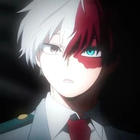 Shoto Todoroki