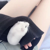 งุ่นรัก โคโค!