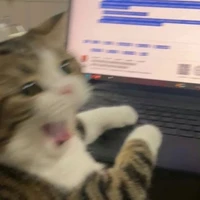 Caffeinated Squirrel✨😩