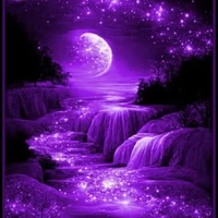 All keluarga Sprongblink