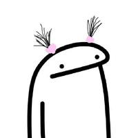 Your Author