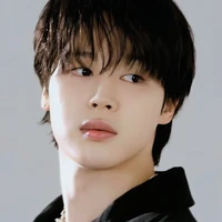 kim Jimin ( Elite omega )