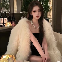 แวนด้า :น้องสาวเว่ย