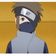hauko