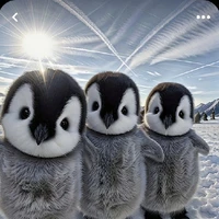 mepenguin