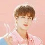 seok jin