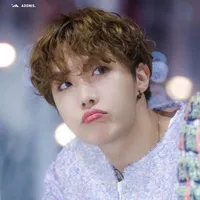 Jung Hoseok ( omega)