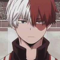 Shoto Todoroki