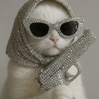 The Owner Of Pen With No Ink