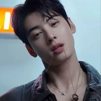 cha eunwoo(omega)