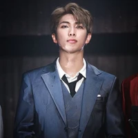 Jeon Namjoon (Elite Alpha)