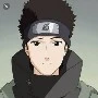 shino