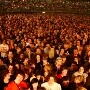 Multitud