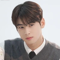 Cha Eun woo