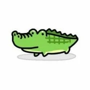 Crocodile