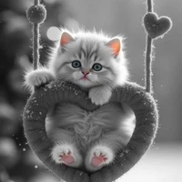 lovely author