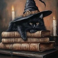 bishy cat(Author)
