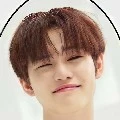 Zhong Chenle
