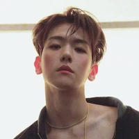 Kim Baekhyun *MC cousin* *DA*