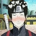 sai