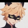 chat noir