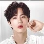 jin wilin(BTS)