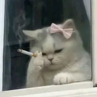 Bootiful author