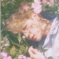 jimin. guardian angel with devil mind. 