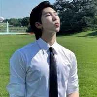 Kim namjoon/Elite Alpha/ ML DAD