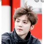 luhan lee (kakak angkat lisa)