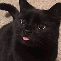 Milo