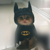 batbilla