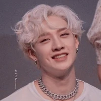 Bang Chan (Chris,Chan)