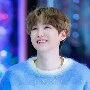 suga alexander king